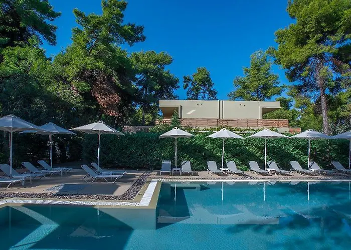 Hotel Club Summer 4*